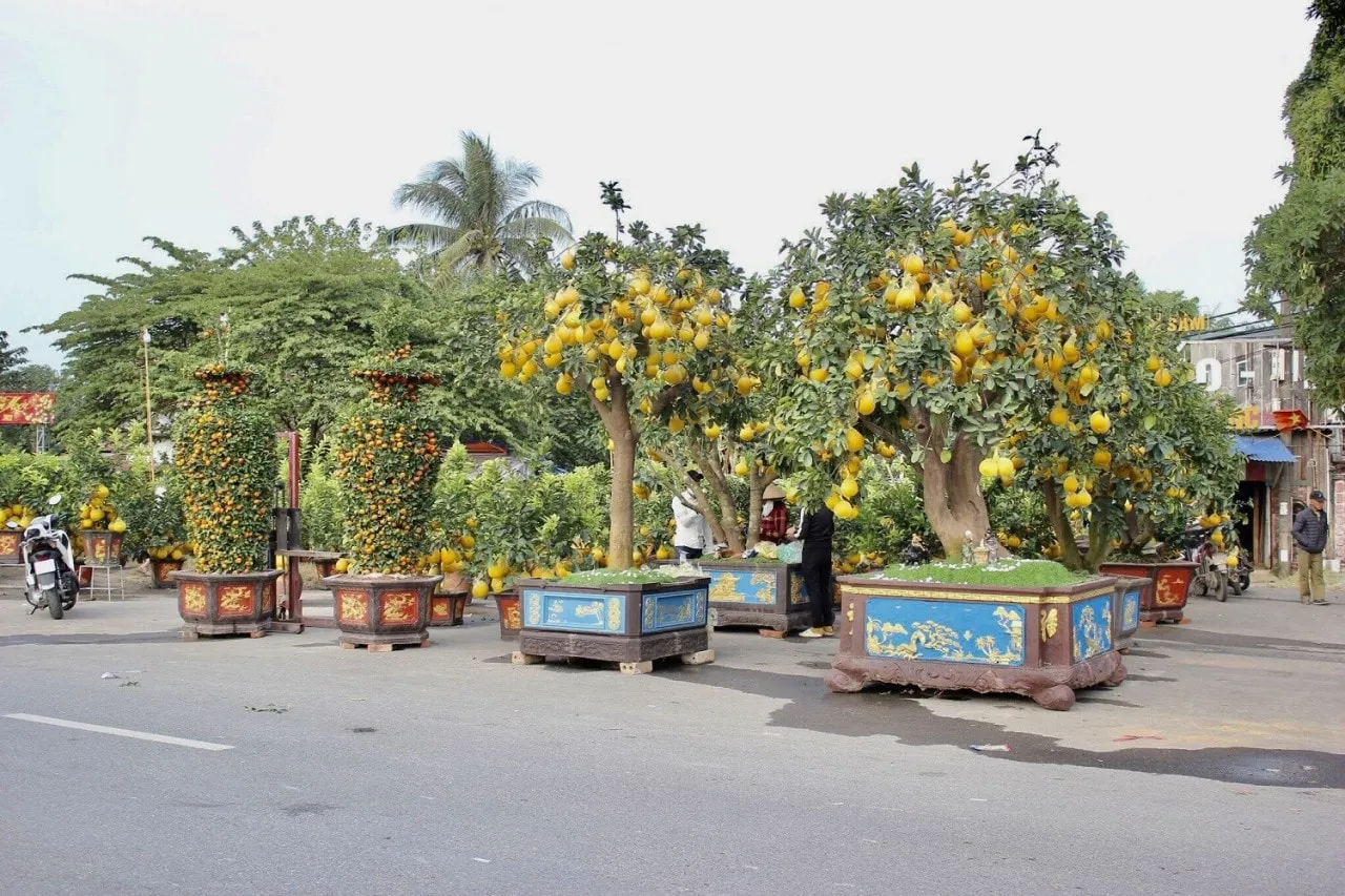 Không khí Tết ngập tràn trong sắc hoa đủ màu