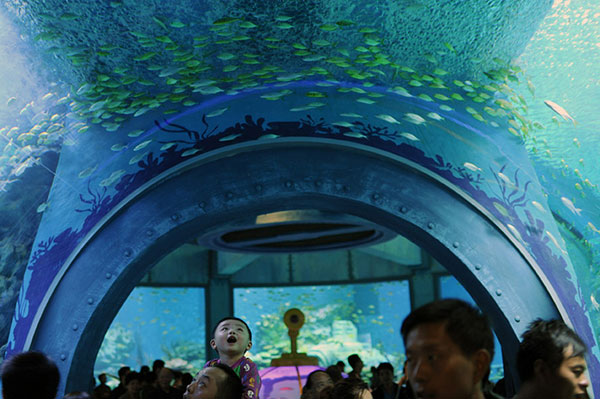Viện hải dương học Nha Trang