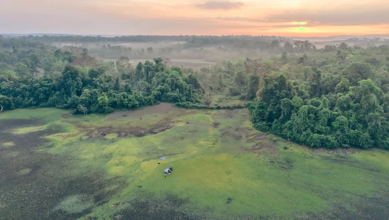 Trảng cỏ Bù Lạch