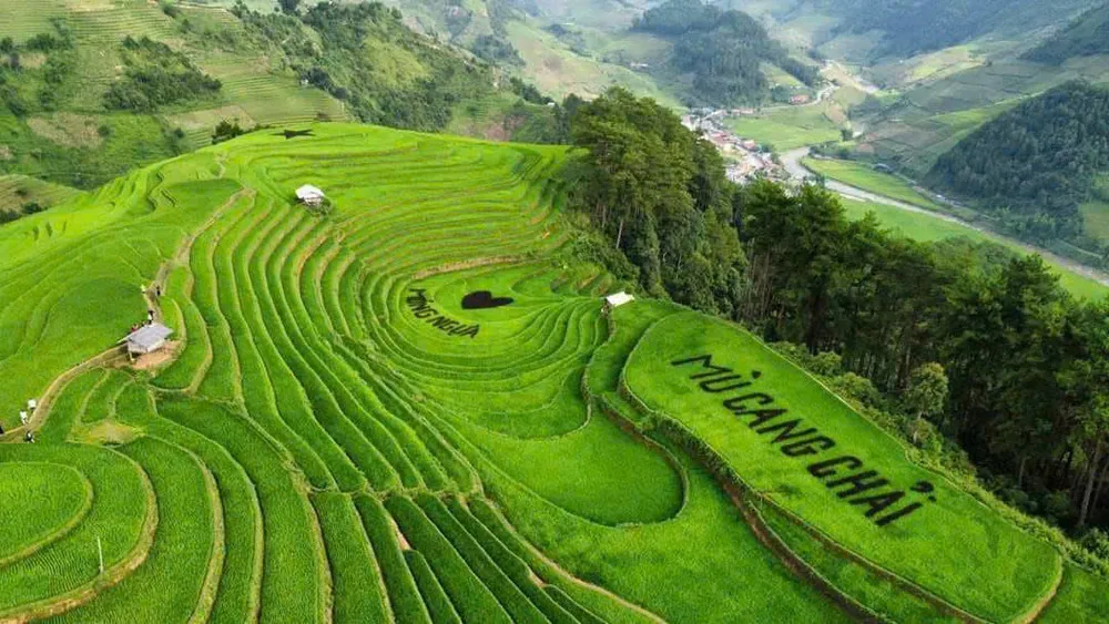 Khám phá Mù Cang Chải mùa lúa chín