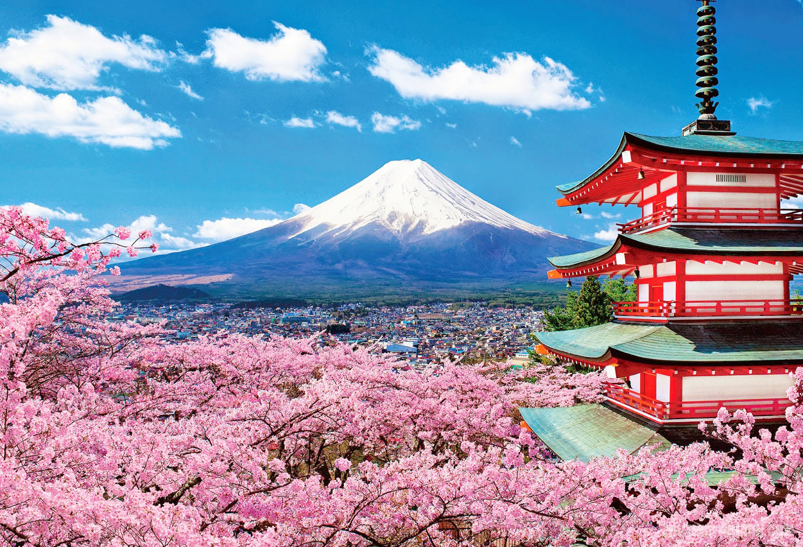 Hoa anh đào nở rộ khiến Nhật Bản đẹp mơ màng như những thước phim truyền hình