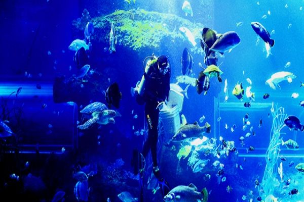 địa điểm du lịch nha Trang