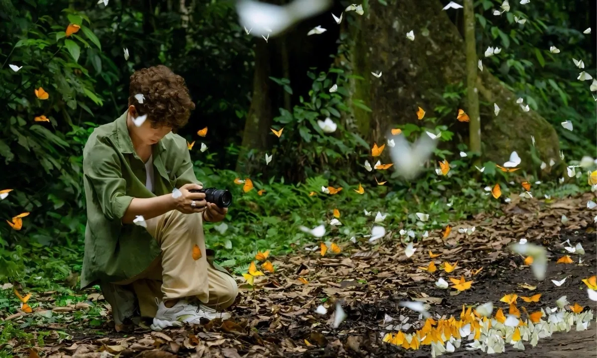 địa điểm du lịch Ninh Bình