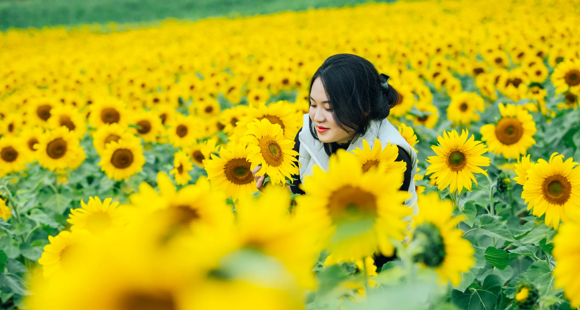 Tháng 1 nên đi du lịch ở đâu