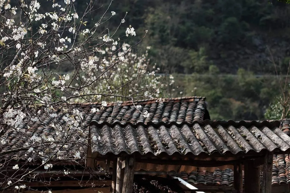 Tháng 2 nên đi du lịch ở đâu