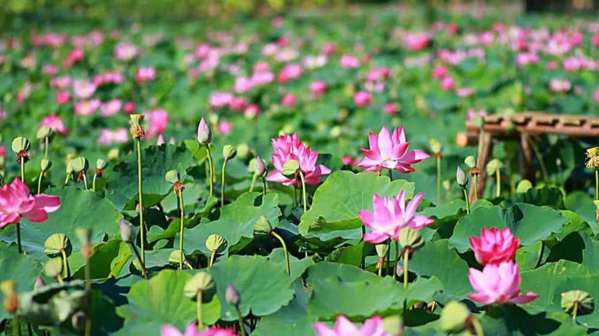 địa điểm du lịch miền Nam