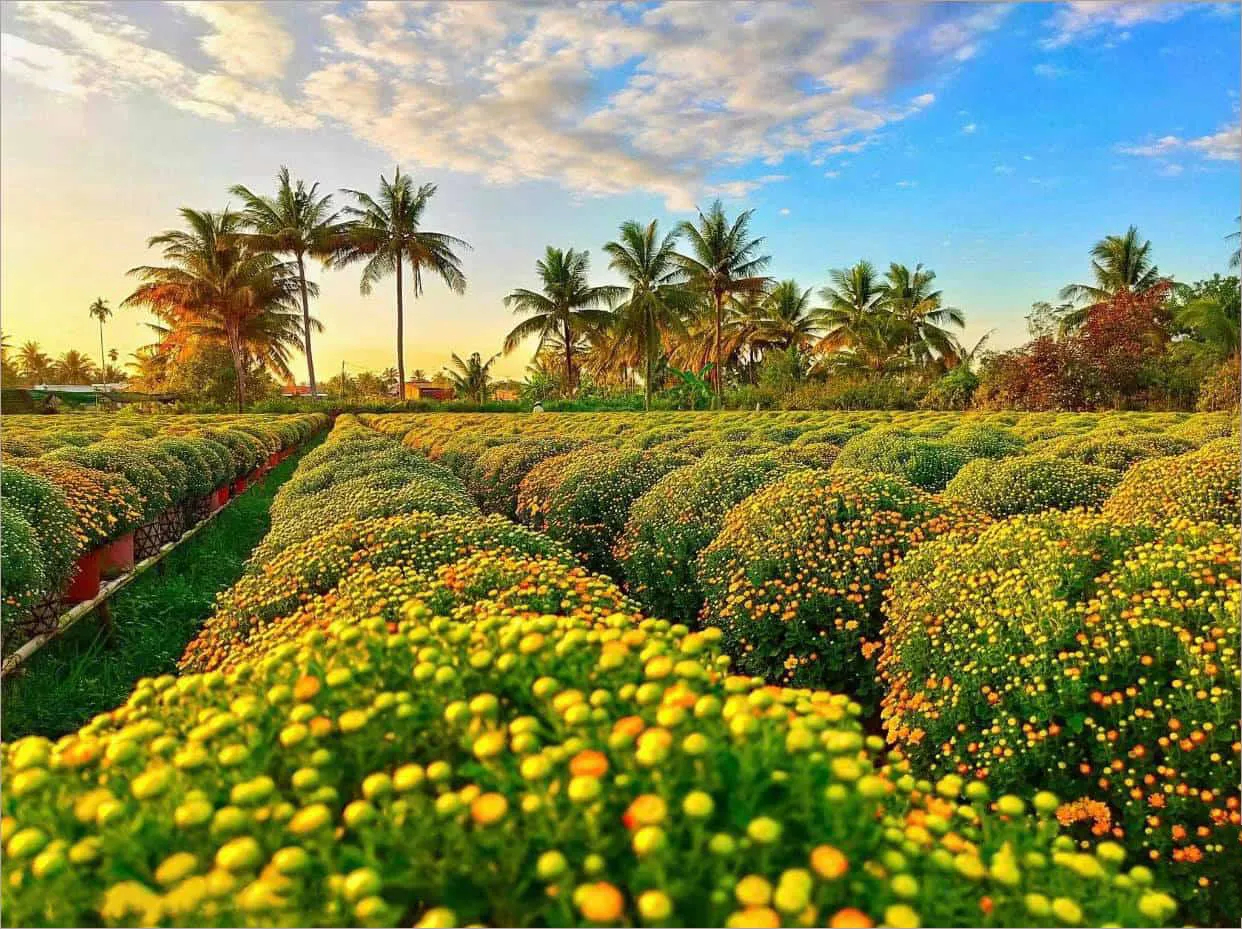 địa điểm du lịch miền Tây