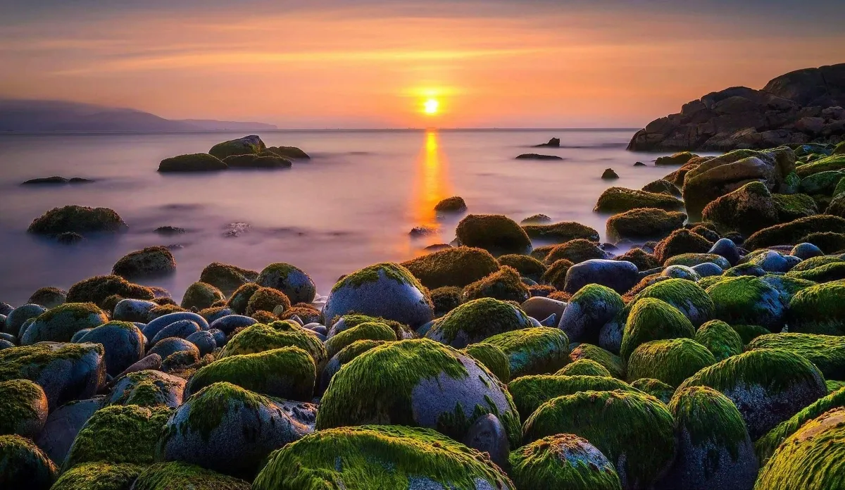 địa điểm du lịch Quy Nhơn