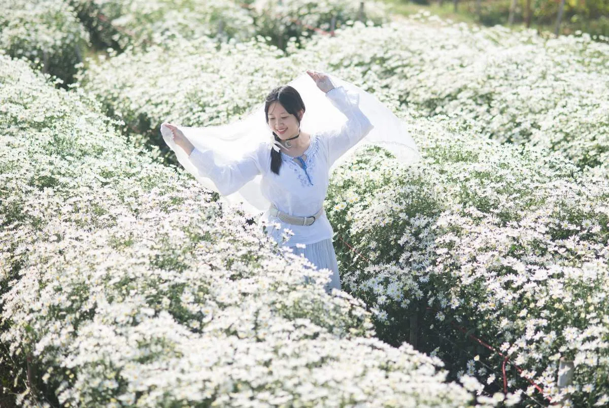 Tháng 11 nên đi du lịch ở đâu