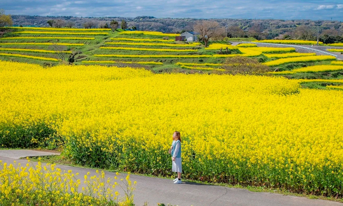 Tháng 6 nên đi du lịch ở đâu
