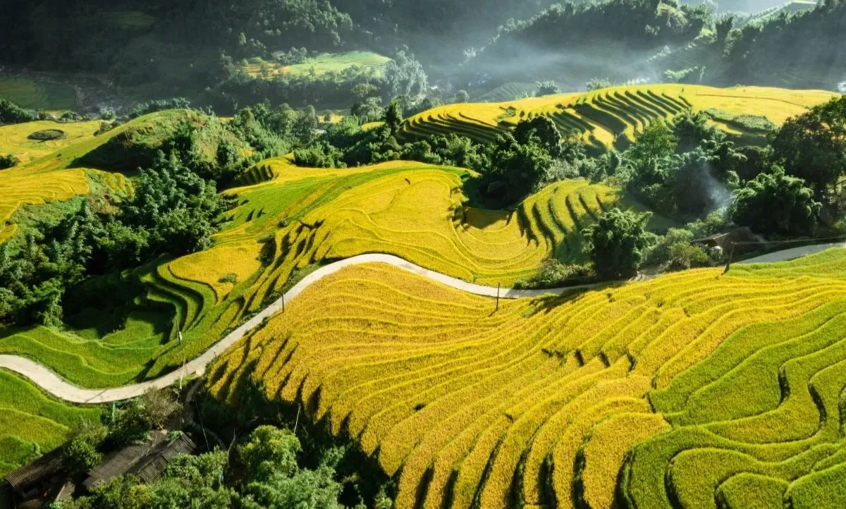 Ngắm Bản Tả Van từ trên cao, thấy những con đường uốn lượn như dệt nên câu chuyện của núi rừng.