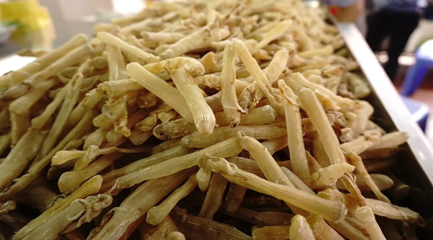 Sá sùng Móng Cái là hương vị khiến ai thử một lần đều nhớ mãi bởi độ ngọt tự nhiên và hương vị đậm đà.