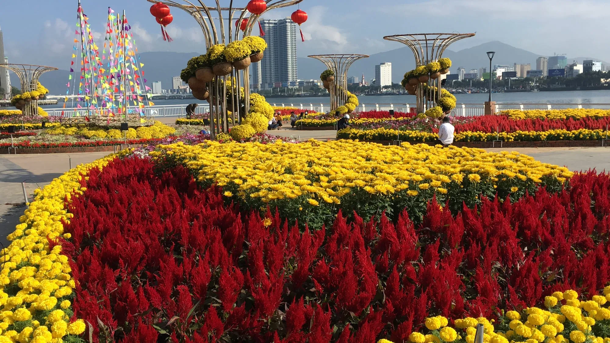 Không khí Tết nô nức ở chợ hoa.