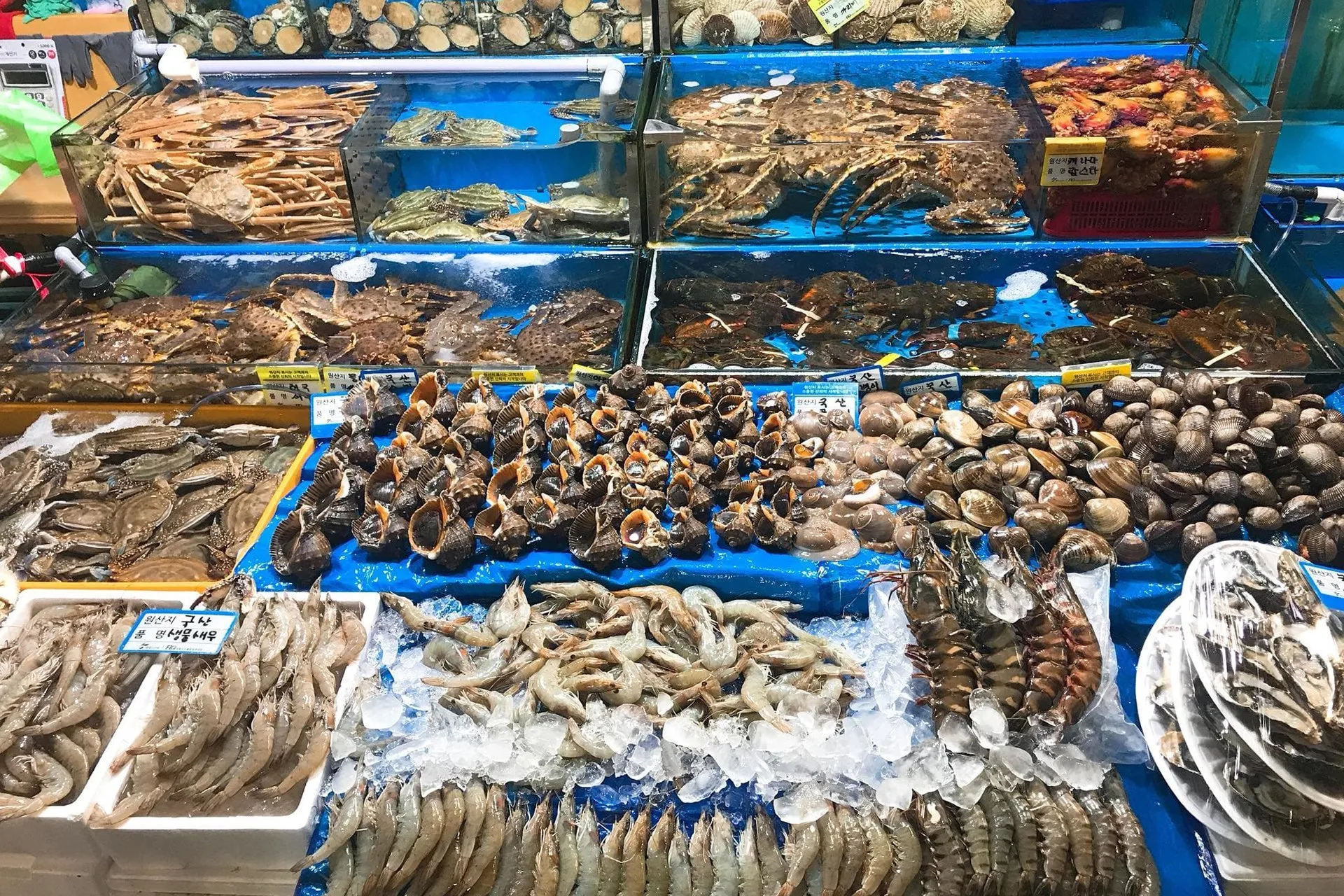 Hải sản tươi sống – trải nghiệm không thể thiếu khi đến Nha Trang