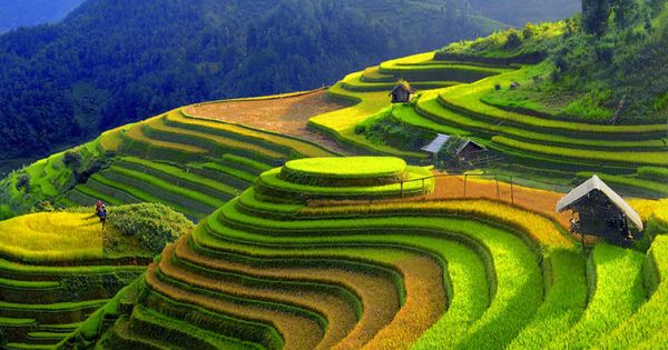 Vé máy bay khuyến mãi đi thưởng thức ẩm thực Điện Biên