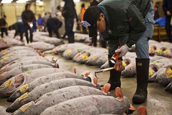 Chợ cá Tsukiji