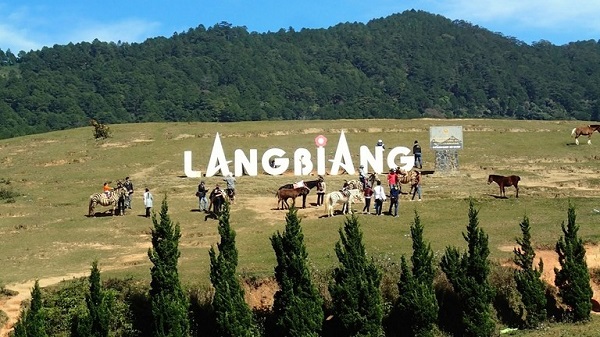 Vé máy bay giá rẻ đi Đà Lạt khám phá đỉnh Langbiang