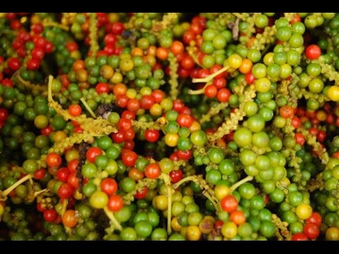 Vé máy bay giá rẻ tham quan Hồ tiêu Phú Quốc