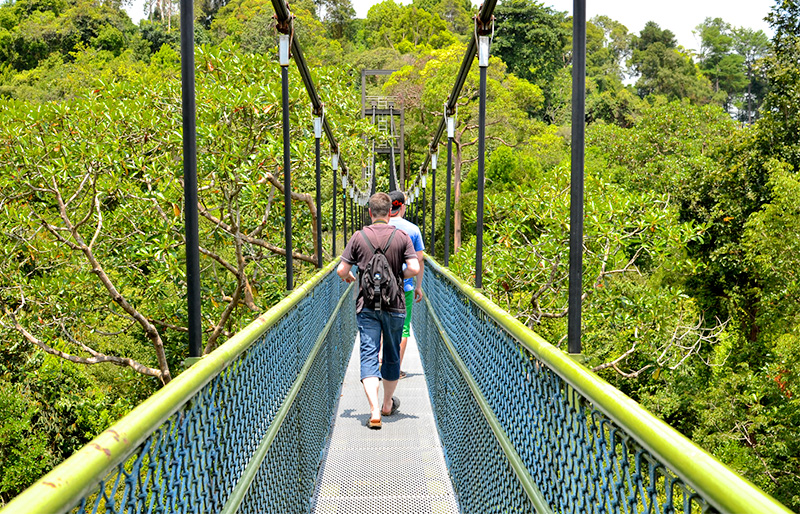 Đường mòn MacRitchie