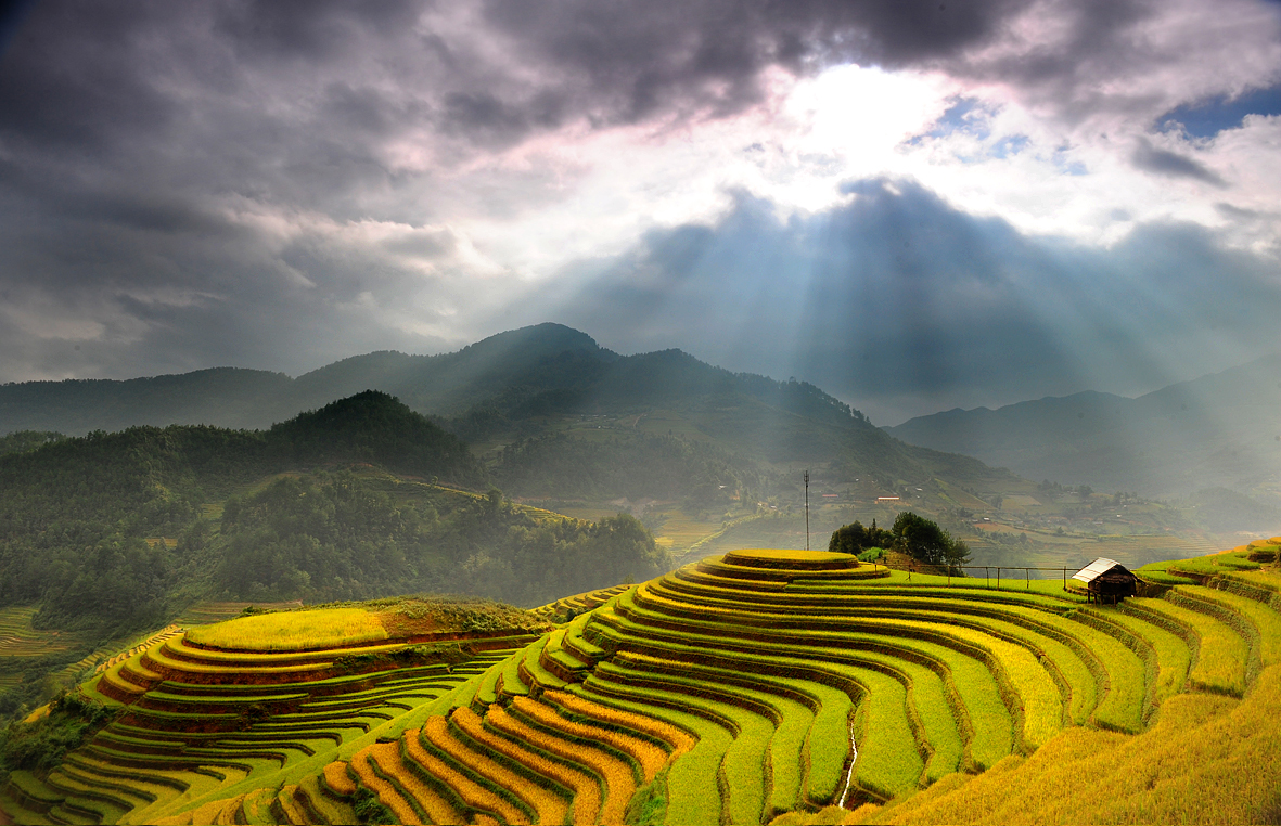 Hà Giang mùa lúa chín