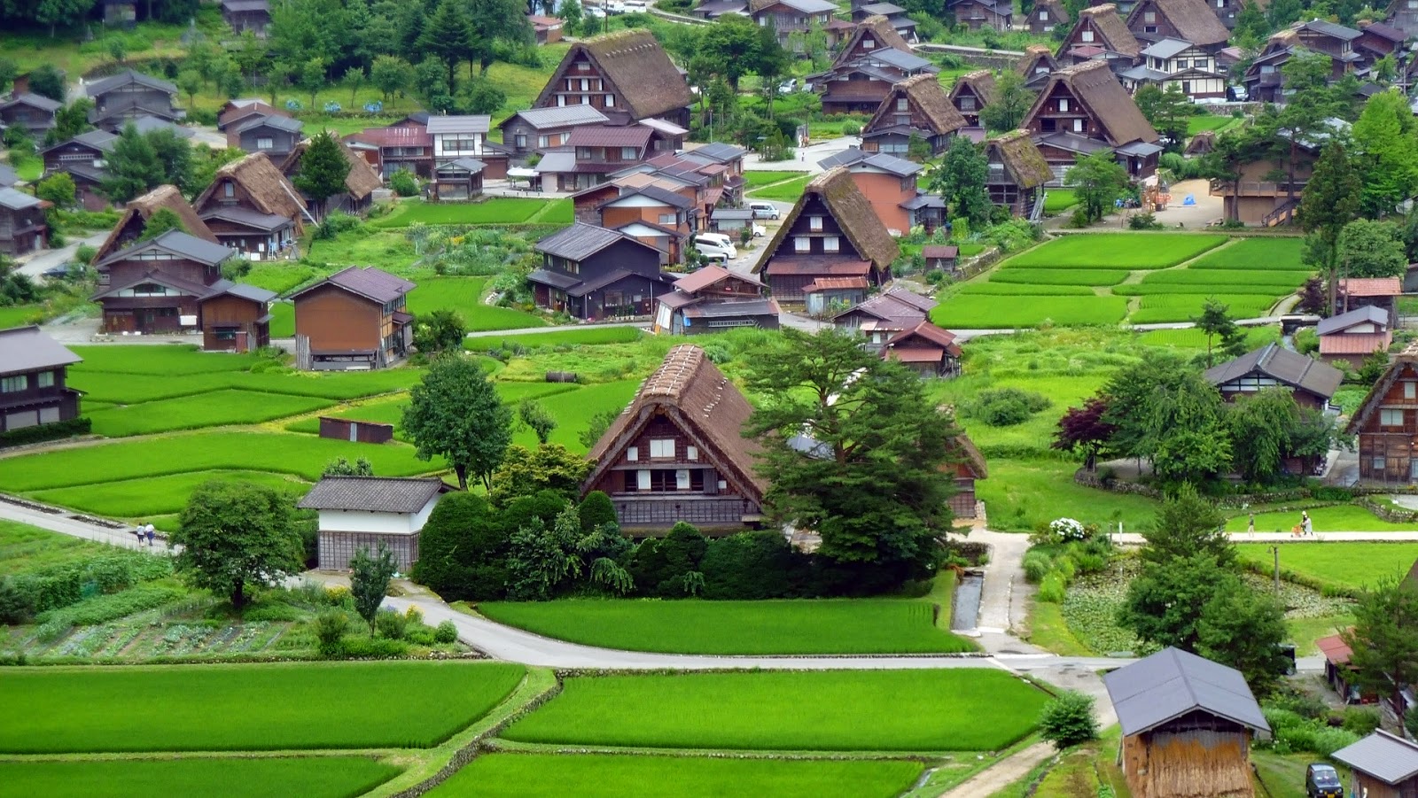 lang-co-shirakawago