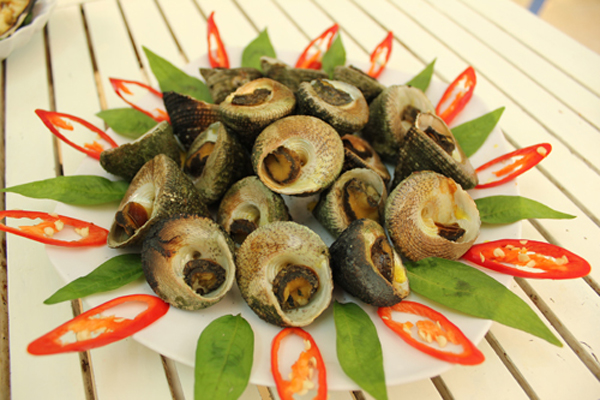 Ốc vú nàng, Côn Đảo