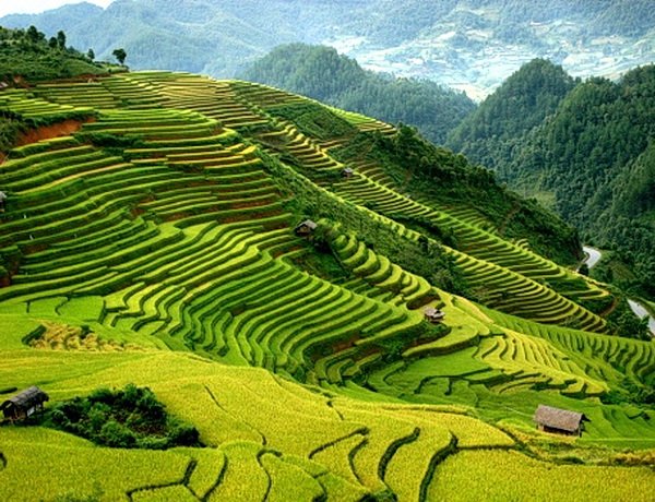 Vé máy bay đi Sapa khuyến mãi