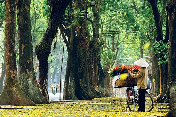 Vé máy bay giá rẻ du lịch Hà Nội