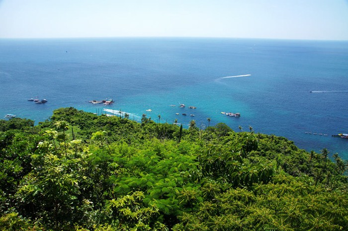 Vé máy bay đi Quy Nhơn