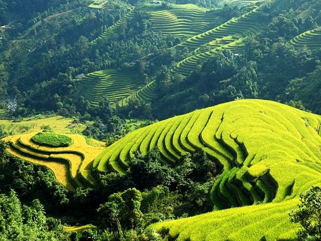 Núi Hàm Rồng