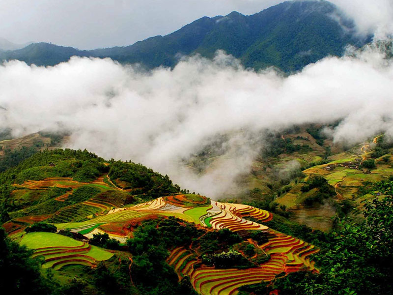 Sapa huyền ảo