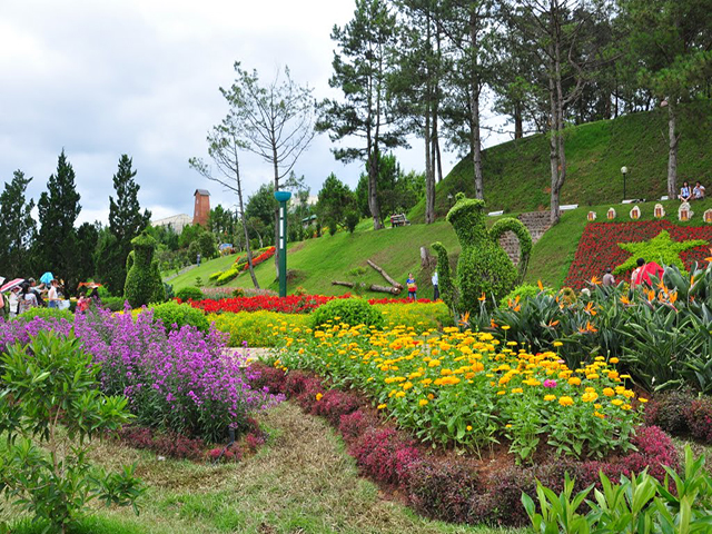 Vé máy bay đi Đà Lạt