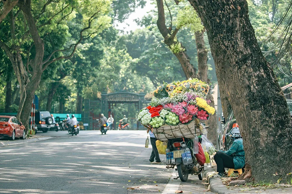 Hà Nội mùa thu mang một vẻ đẹp nhẹ nhàng nên thơ