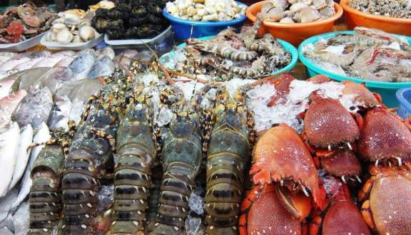 Vé máy bay TPHCM đi Phú Quốc