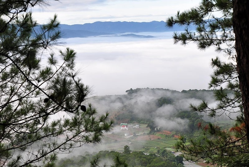 Vé máy bay từ Đà Nẵng đi Đà Lạt