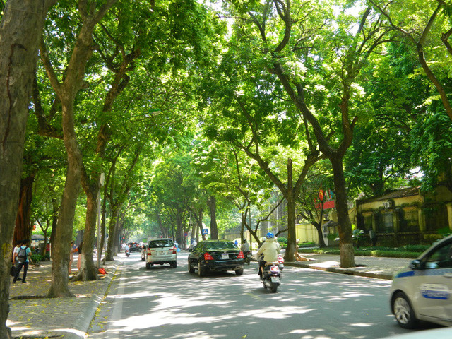 Vé máy bay Cần Thơ Hà Nội