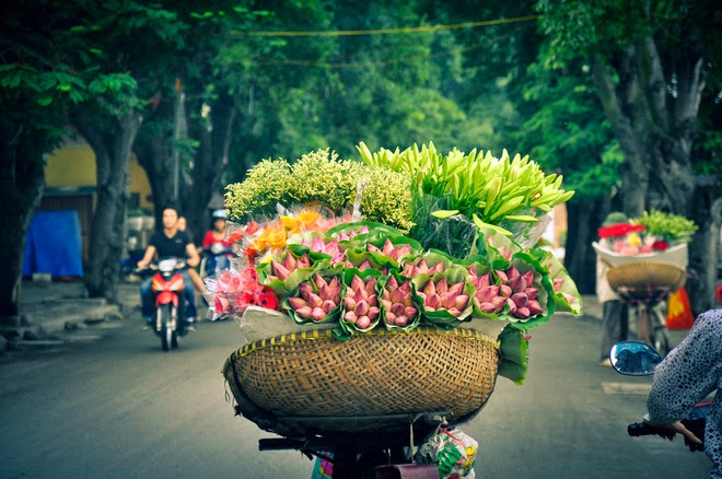 Vé máy bay Vinh Hà Nội