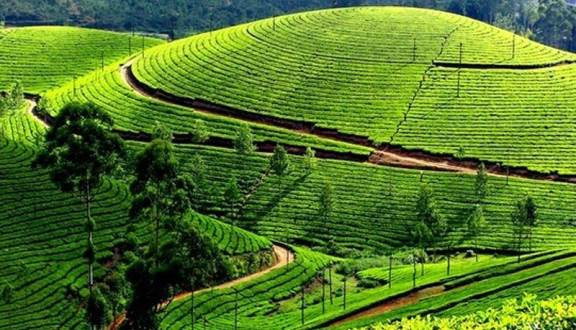 Vé máy bay Vinh Đà Lạt 