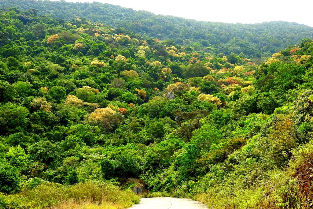 Vé máy bay giá rẻ đi Đà Nẵng tháng 7 
