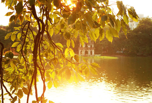 Vé máy bay Đà Lạt Hà Nội 