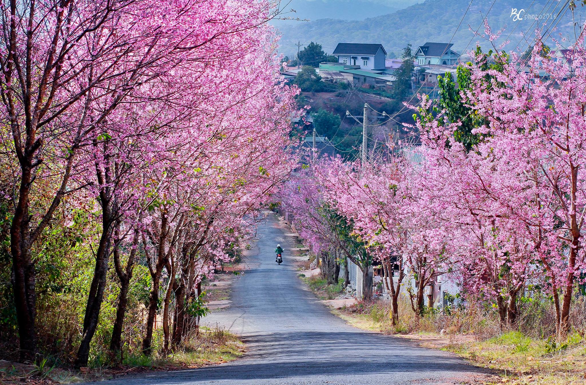 Vé máy bay giá rẻ tháng 2