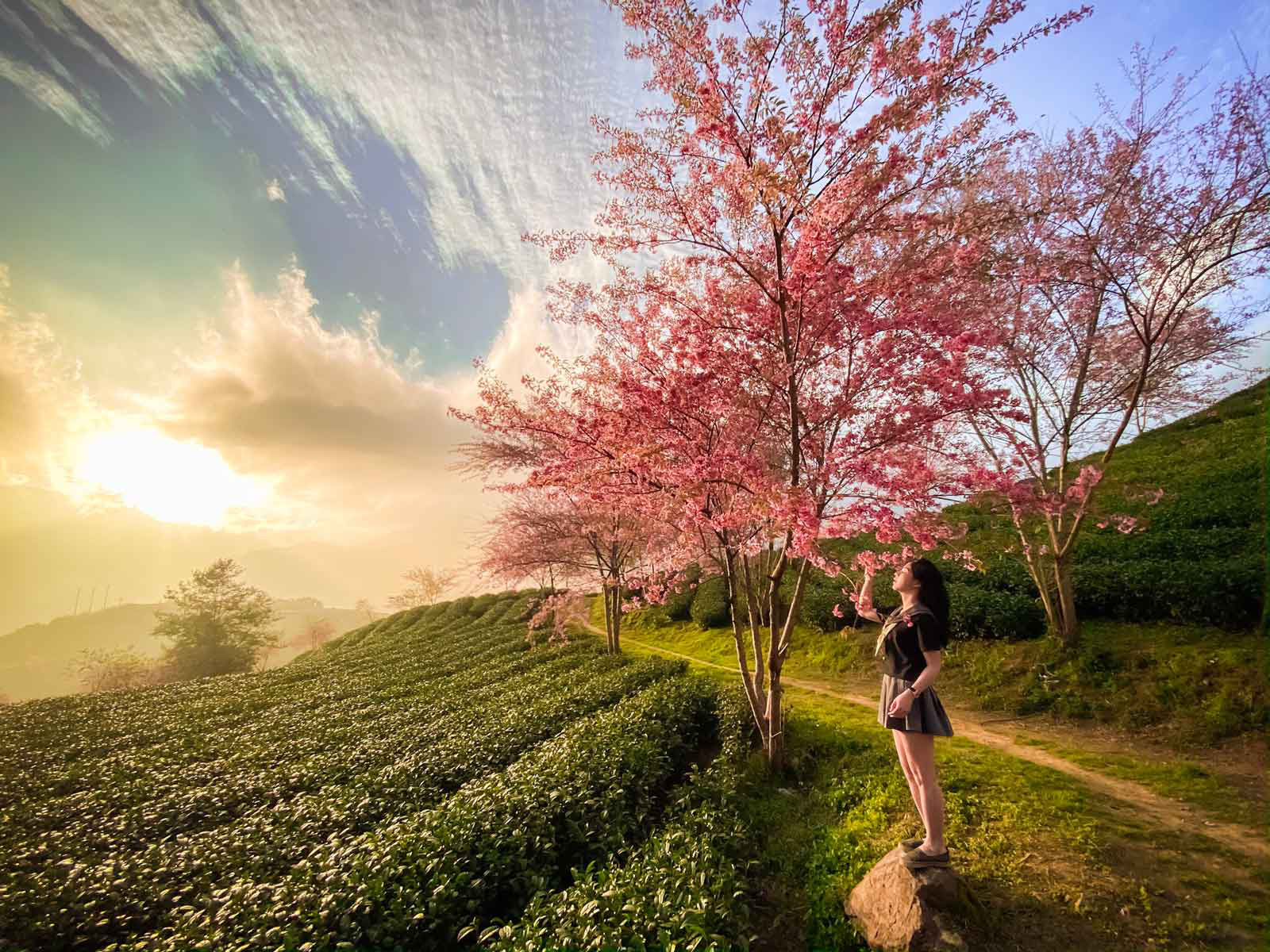 Vé máy bay giá rẻ tháng 1