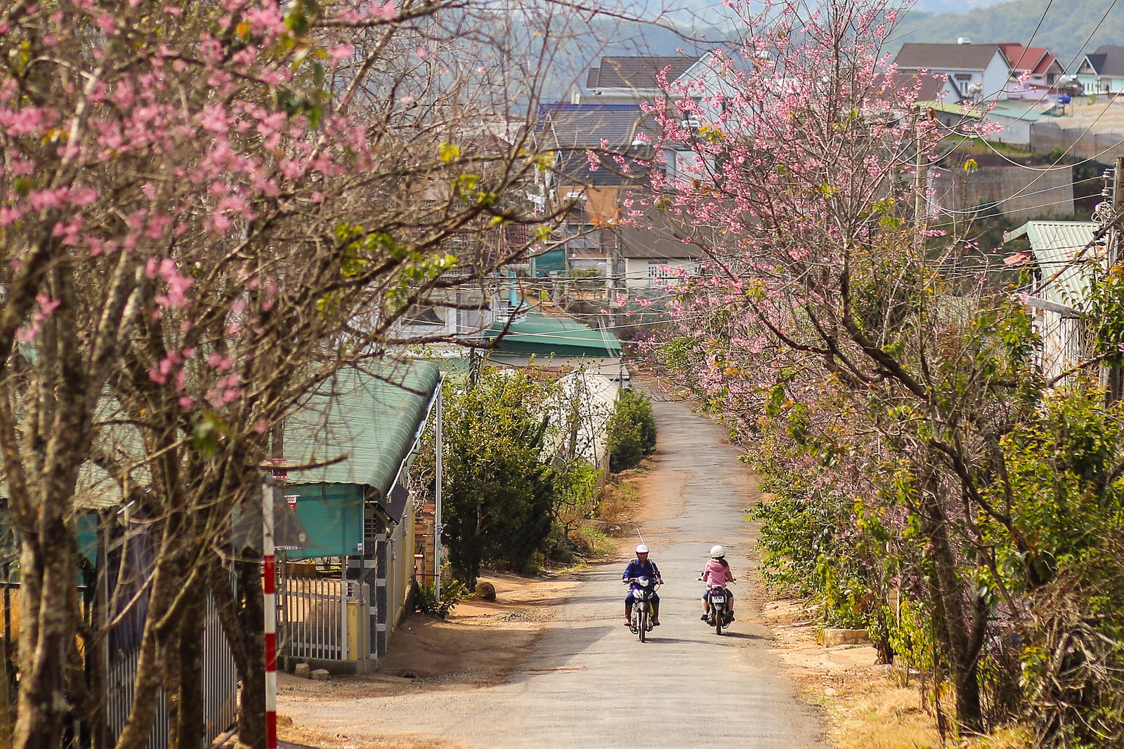 Vé máy bay giá rẻ tháng 1
