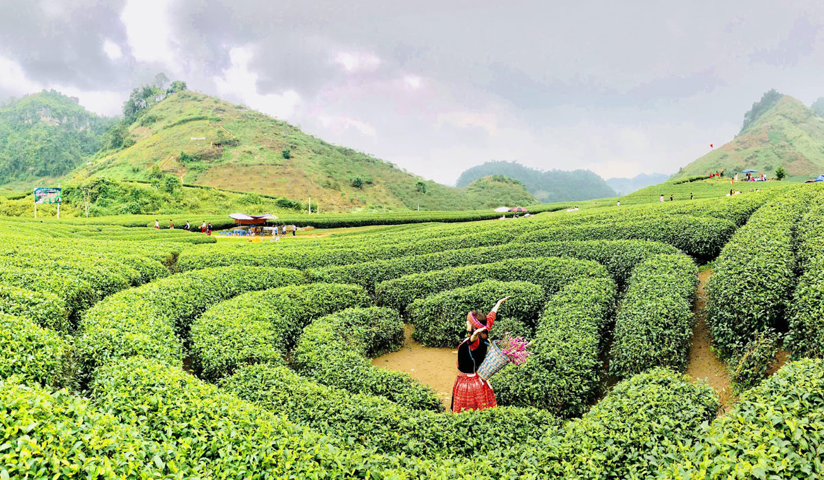 Vé máy bay giá rẻ tháng 4