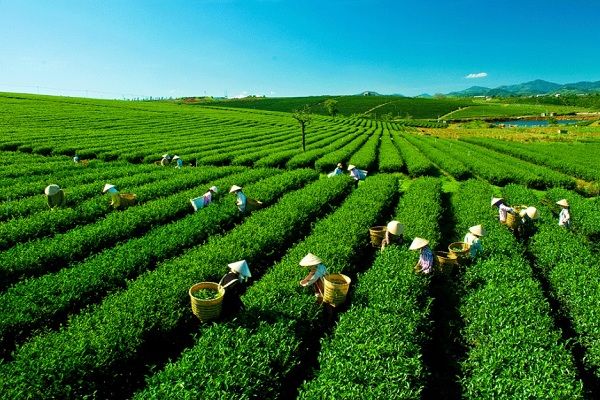 săn vé máy bay giá rẻ tháng 9 