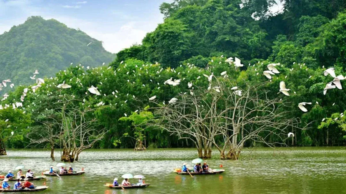 địa điểm du lịch Ninh Bình