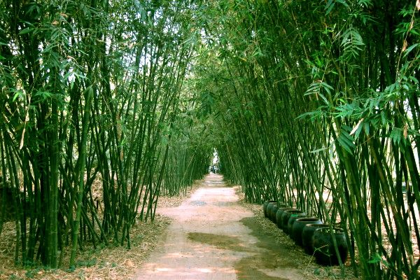 địa điểm du lịch Bình Dương