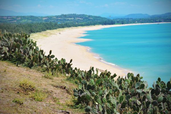 Top 14+ địa điểm du lịch Phú Yên nhất định phải đến một lần trong đời 