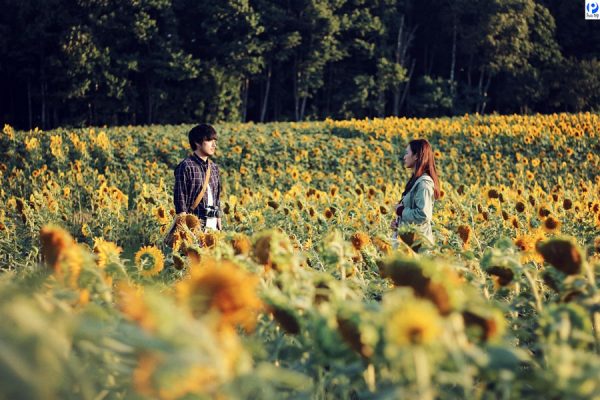 Tháng 8 nên đi du lịch ở đâu ?
