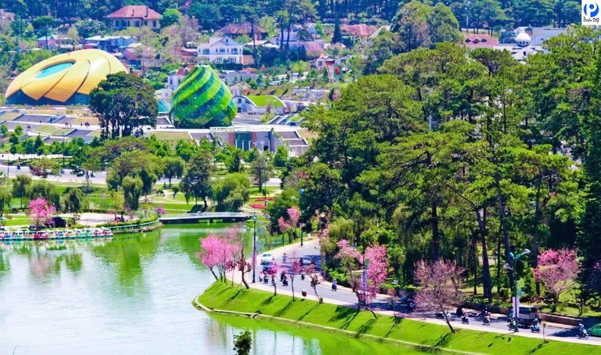 Tận hưởng không khí Đà Lạt vào tháng 8